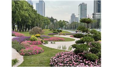 來(lái)現(xiàn)場(chǎng)打卡，感受“美麗無(wú)錫”的美好